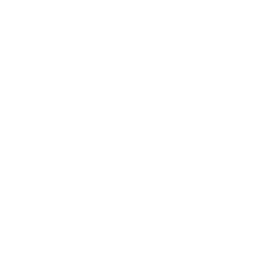 DELTA MOMENTUM GROUP